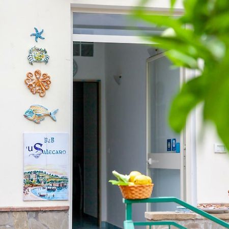 'U Salecaro Bed & Breakfast Agropoli Dış mekan fotoğraf